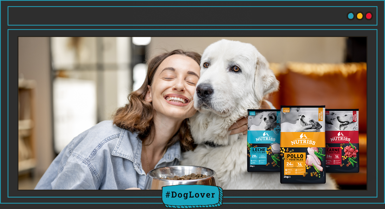  alimentación para perros adultos
